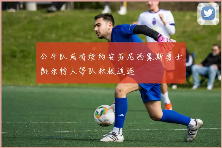 公牛队或将续约安芬尼西蒙斯勇士凯尔特人等队积极追逐