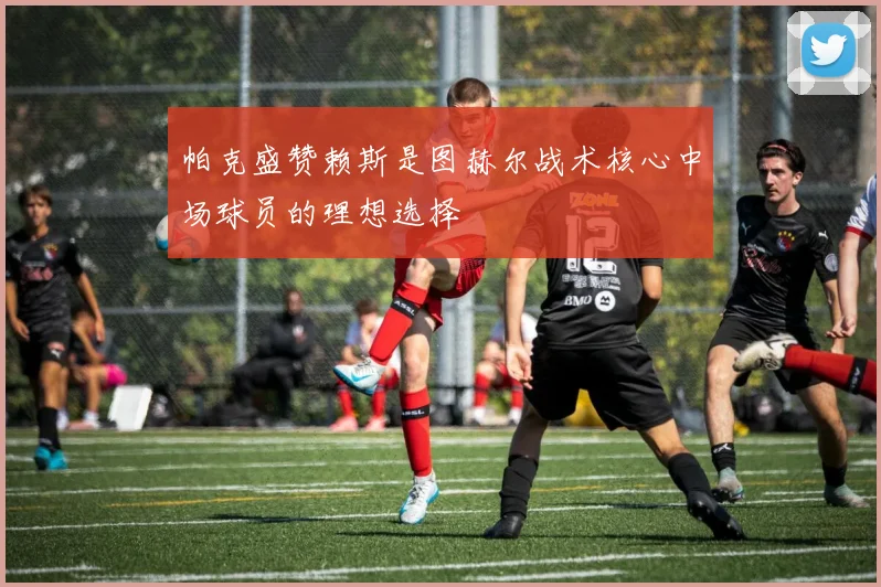 帕克盛赞赖斯是图赫尔战术核心中场球员的理想选择