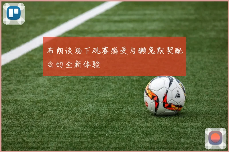 布朗谈场下观赛感受与獭兔默契配合的全新体验
